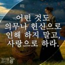 포란재로 이미지