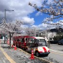 천연염색문화재단 주차장 | 이천체험문화축제 후기｜아이랑 가기 좋은 예스파크 체험축제 (꿀팁 총정리.4/4방문)