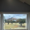 소담원 | 담양 감성 숙소 '소담원' : 애견동반,가족과 함께 완벽한 힐링 독채 펜션 (내돈내산 후기)