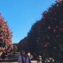 남원읍 공천포구 이미지