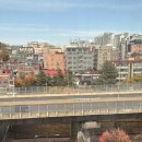 꾸이닭야식 | 백수 연장 Yes or No ?