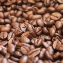 위험한studio 이미지