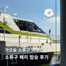 동강가든 | 가오슝 소류구 가는 방법 동강 페리 티켓 구매 및 탑승 후기