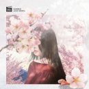 분당-151 이미지