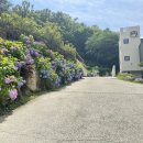 유정1955 이미지