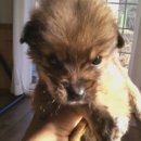 힐링하우스 이미지