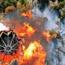 천하태평 이미지