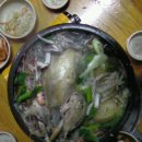 한방토종닭집