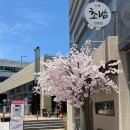 카나이즈미초밥 이미지