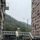 홍콩-마카오 여행 3일차 (내돈내산, 솔직후기, 꿀팁)