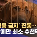 '개 식용 금지' 진통‥"보상에만 최소 수천억 원" 이미지