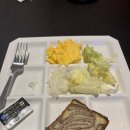 버스승차대 15-211 | 일본 오사카 노랑풍선 2박 3일 패키지 2일차 후기