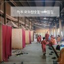 [충북 청주] 국화참숯불가마찜질 솔직후기