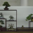 지지명품 이미지