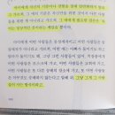 미즈콜랙션
