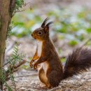 야음로 26번길 이미지