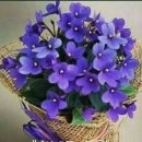 당구포켓클럽 이미지