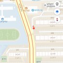남천동 삼익비치B상가 주차장 | 부산 광안리 남천동 삼익비치 벚꽃 개화 실황 주차 포토존 벚꽃터널 위치