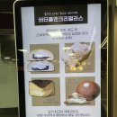 크리엔크 네이버블로그