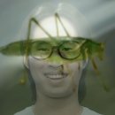 헌터존