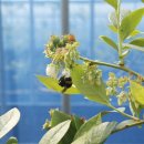 한샘농장 이미지