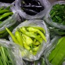 모단농장 | 대한민국 수산1번지 남해안 청정바다 이순신장군의 고장 한산섬 여행 오시면 다양한 섬야채와 어촌체험...