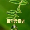 수다방 - 당진시 | 수다방