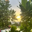 스텔라이호텔 이미지