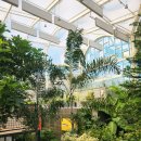 고흥만힐링체험센터 | [웰니스in충북] 충북 영동 1박2일 웰니스 체험 후기 - 레인보우 힐링센터·일라이트 휴양빌리지