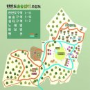 한반도솔숲쉼터 네이버블로그