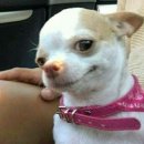 안하2 이미지
