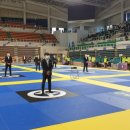 주짓수익스플로러 이미지