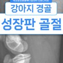 속초삼성동물메디컬센터 이미지