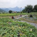 하은농장 이미지