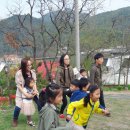 학봉초등학교 이미지