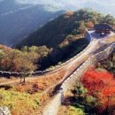 태종청과 이미지