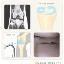 어베인휘트니스 이미지