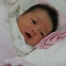 배꼽누리 이미지