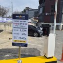 두산약국 | 추천 대구 창고형 약국 메가타운약국 수성점 🐶 강아지 동반 방문 후기