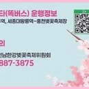 여주-0181 네이버블로그