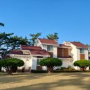 원산아일랜드 이미지