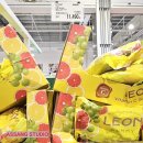 (주)마이크로자임 | 코스트코(COSTCO) 청라 11월 할인/영양제·화장품·스낵·생활·가전 총정리