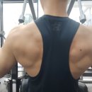 스케일짐 이미지