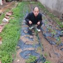 남부이용소 이미지