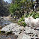 노팅힐펜션패밀리 이미지