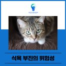 아이처럼 동물병원 이미지