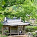 이화조경 이미지