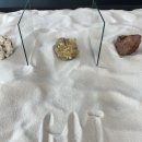 그리오어(Griore) 이미지