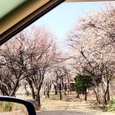 옥상조개구이&홍게무한리필 이미지