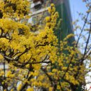 주공칼국수 이미지